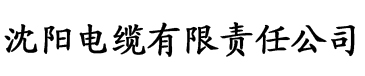 大香蕉亚洲综合在线电缆厂logo